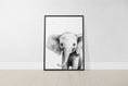 Load image into Gallery viewer, Black and White Safari Animal Wall Art | Set of 3 Monochrome Prints - RoseRowanDesign - Wall Art