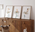 Load image into Gallery viewer, Boho Fairy Nursery Prints | Set of 3 | Daisy Wall Art for Princess Bedroom - RoseRowanDesign -