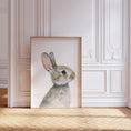 Load image into Gallery viewer, Bunny Prints for Nursery | Set of 2 Grey Rabbit Wall Art | Gender Neutral Decor - RoseRowanDesign - Wall Art
