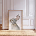 Load image into Gallery viewer, Bunny Prints for Nursery | Set of 2 Grey Rabbit Wall Art | Gender Neutral Decor - RoseRowanDesign - Wall Art