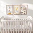 Load image into Gallery viewer, Personalised Name Animal Alphabet & Solar System Set of 3 Prints, Framed Educational Nursery Wall Art Montessori Learning Theme Kids Room