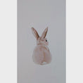 Load and play video in Gallery viewer, Premium Fabric Nursery Wall Stickers - Bunnies and Bows