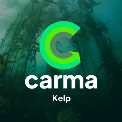 Carma Tree Donations - RoseRowanDesign