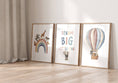 Load image into Gallery viewer, Dream Big Safari Animals, Rainbow and Hot Air Balloon | Neutral | Set of 3 Nursery Prints - RoseRowanDesign
