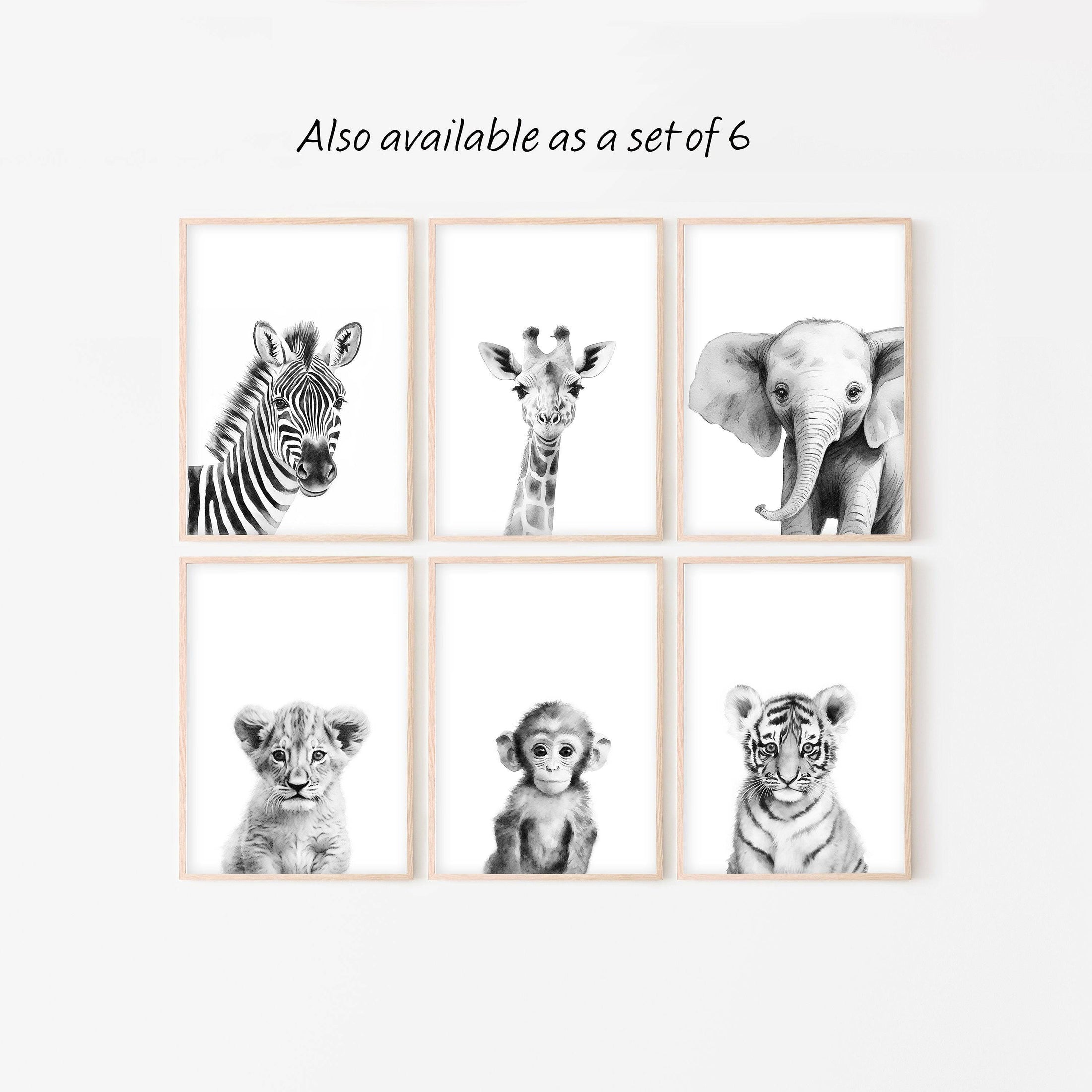 Black and White Safari Animal Nursery Prints, Set Of 3 Monochrome Jungle Animal Nursery Wall Art, Neutral Nursery Decor, Kids Unisex Bedroom