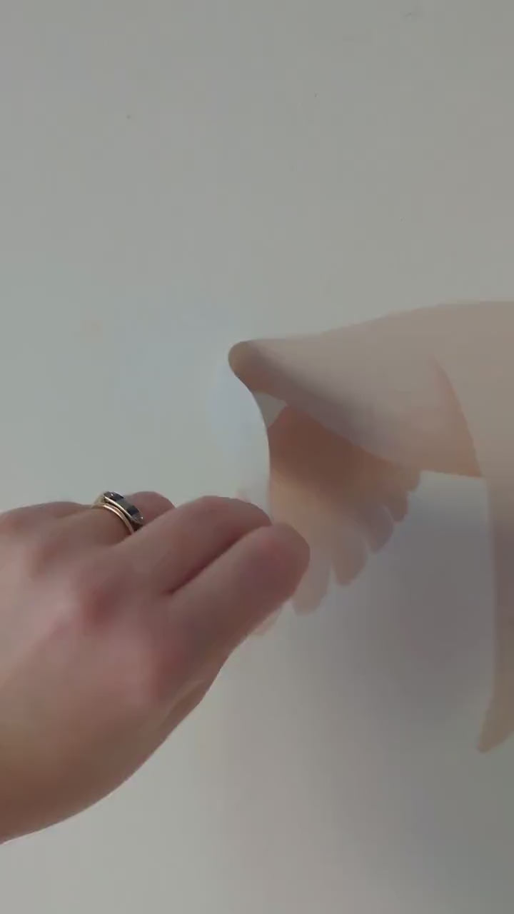 Flying Goose Wall Stickers, Neutral Nursery Wall Decals, Goose Wall Art, Farm Nursery Decor, Baby Room Stickers